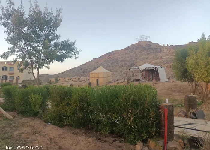 Oasis Panorama