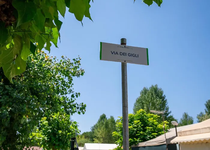 Massa Marina Camping