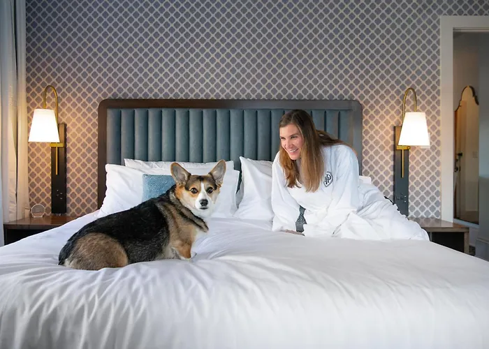 Hotel Petersburg, Tapestry Collection By Hilton