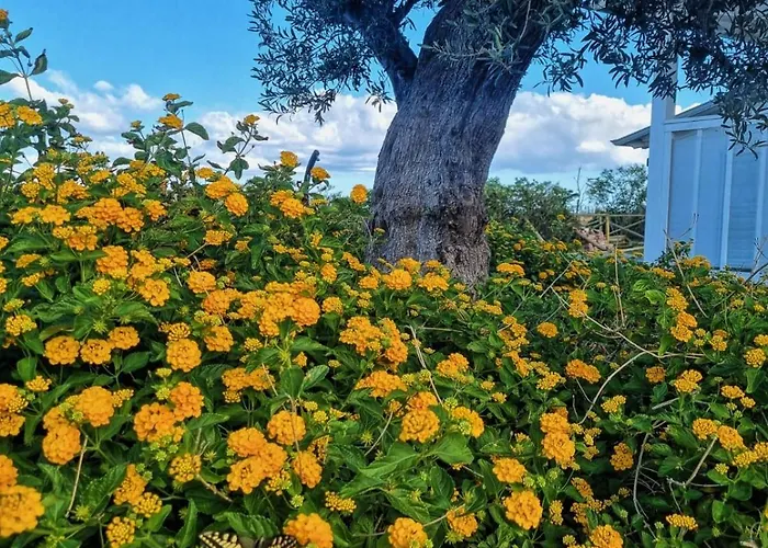 Agricampeggio Alessandra