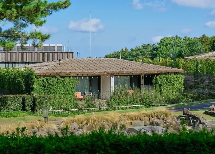 Amber Pure Hill Hotels & Resorts Jeju