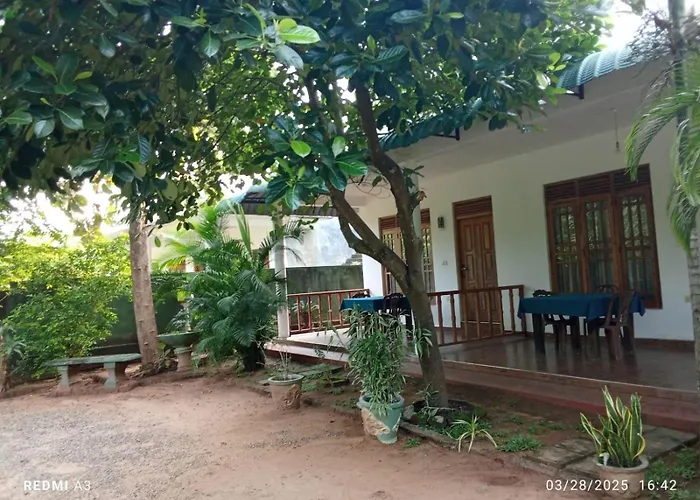 Jungle View Guest