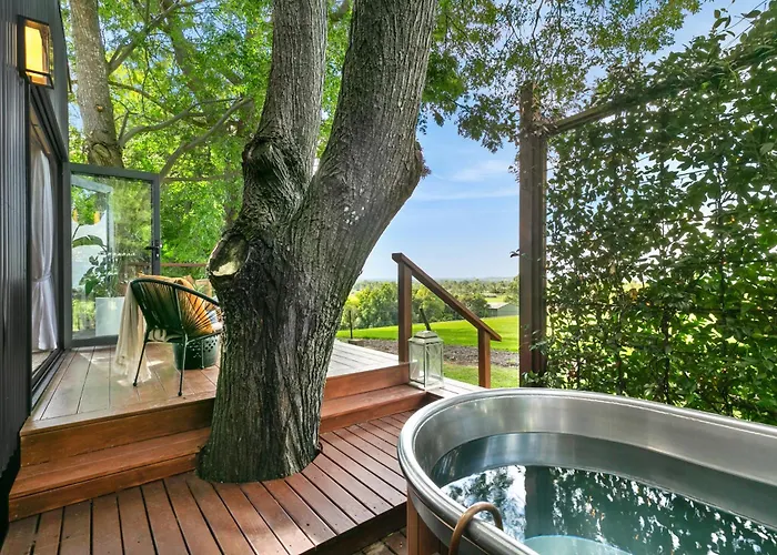 6Sixteen - Hot Tub Or Cold Plunge, Infrared Sauna Launching March