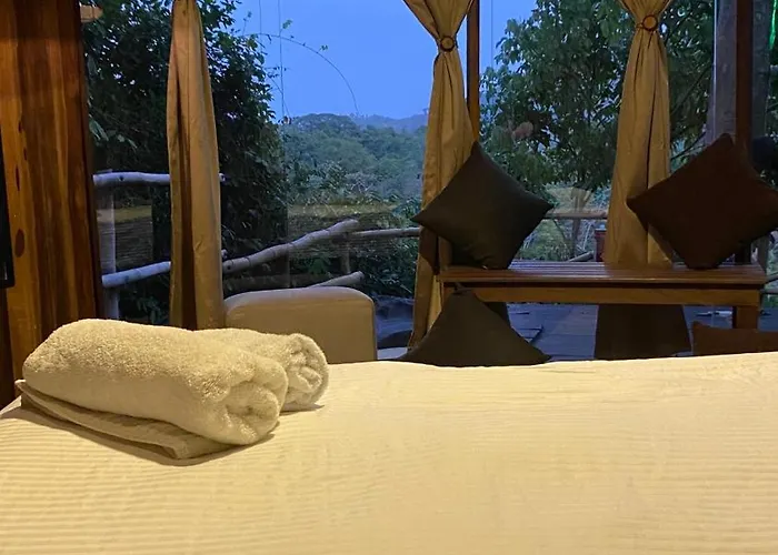 Dacnis Tayrona Glamping