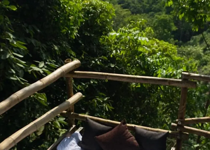 Dacnis Tayrona Glamping