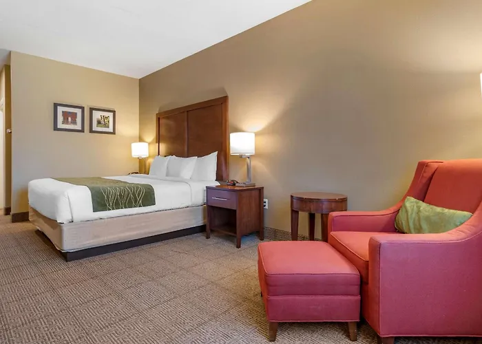 Comfort Inn Amite City