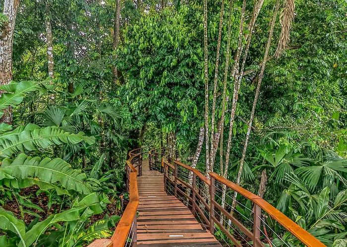 Lapa Rios Lodge By Boeena