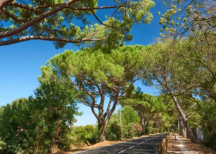 Camping Tikayan Clau Mar Jo - Maeva