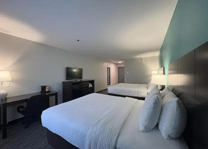 Quality Inn & Suites Houma