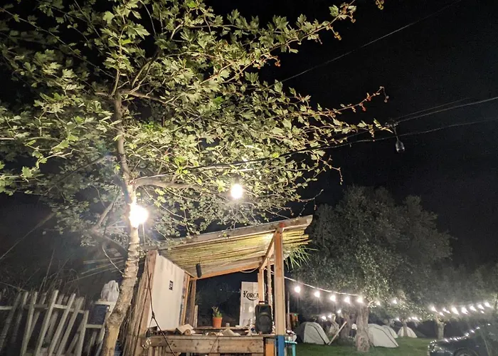 Waveside Camping