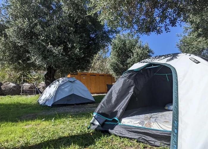 Waveside Camping