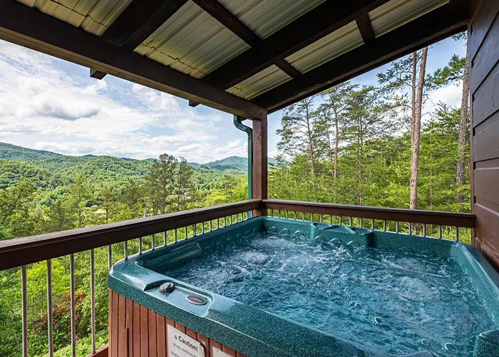 Bear Mountain View Cabin
