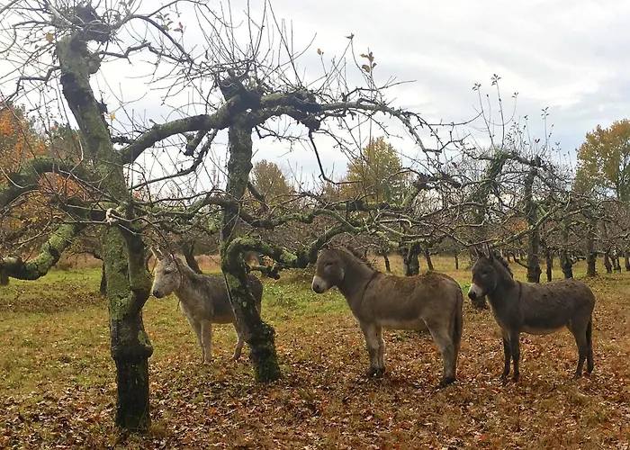 La Dorepontaise Roulotte