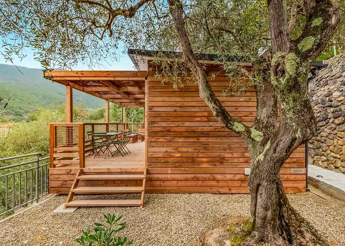 Glamping Degli Ulivi