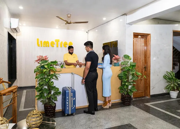 Lime Tree Hotel & One Bed Room Serviced Apartment Nearby Noida Sector 50 Metro & Medanta Hospital With Party Venue