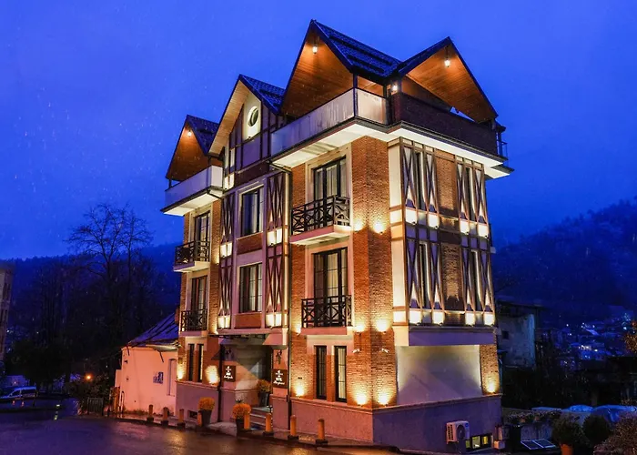 1 Hotel Borjomi