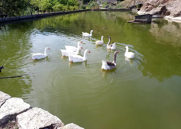 La Ferme Des Cevennes