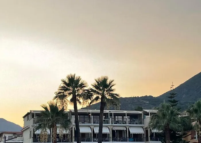 Palm Trees Hotel