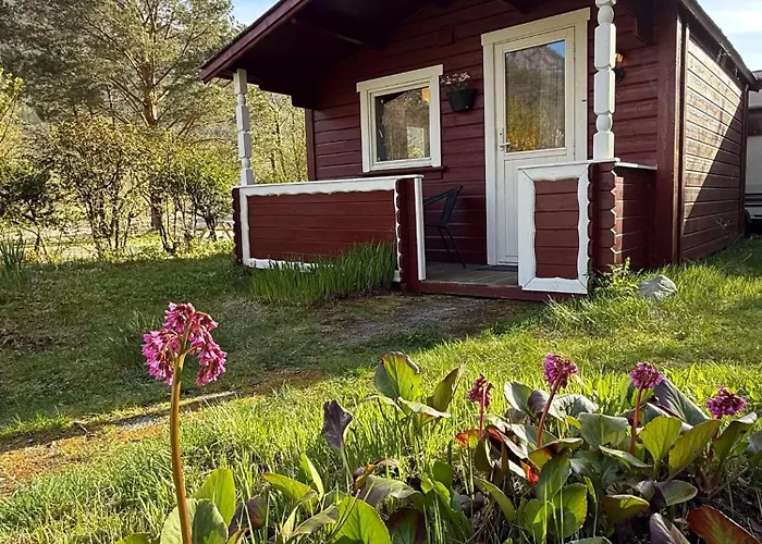 Cozy Camping Cabin