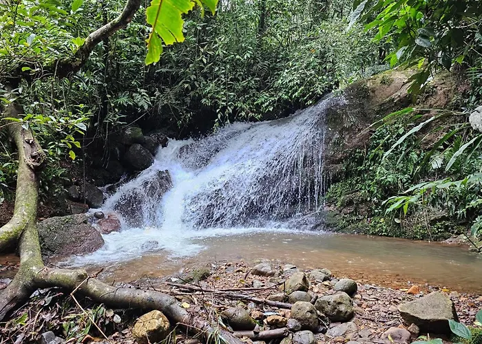 Glamping Montana De Suenos