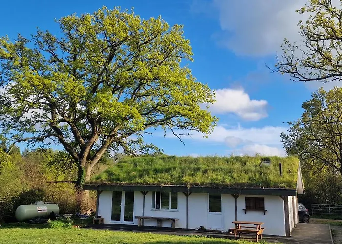 Buzzard's Nest Glamping Oak