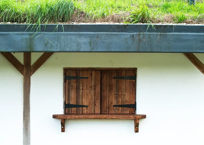 Buzzard's Nest Glamping Oak