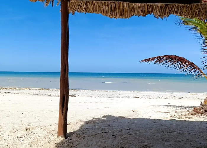 Casa En Movimiento Playabonita