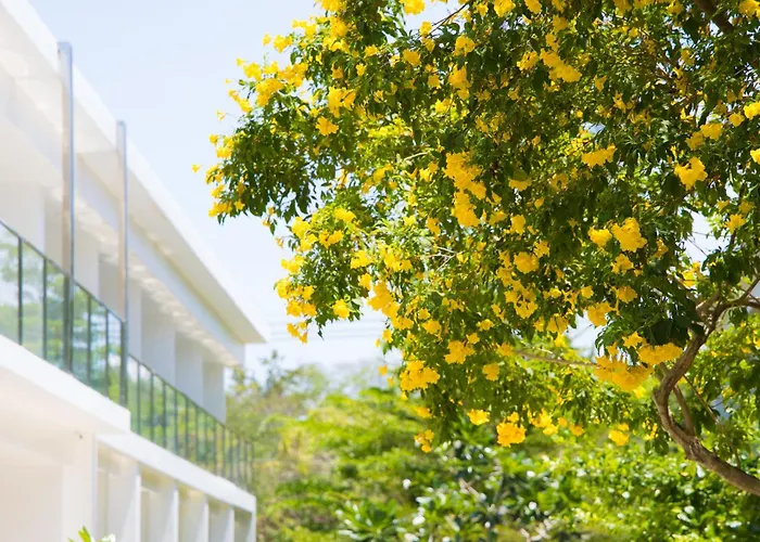 Bj Beachfront Hotel