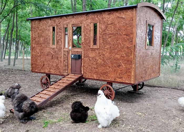 Alpacacamp