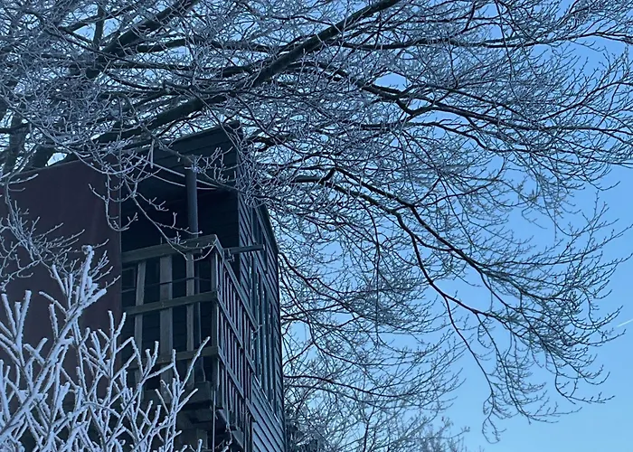 Treehouse Escape