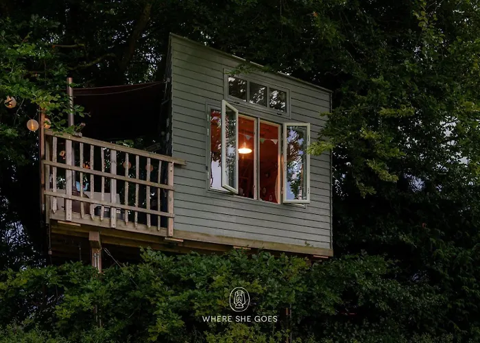 Treehouse Escape