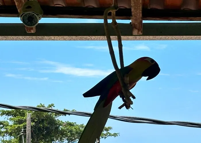 Pouso da Celeste - Trindade
