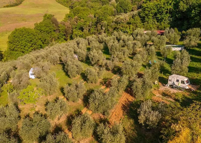 Paradise Agricamp