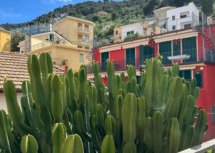 Hotel Mambo