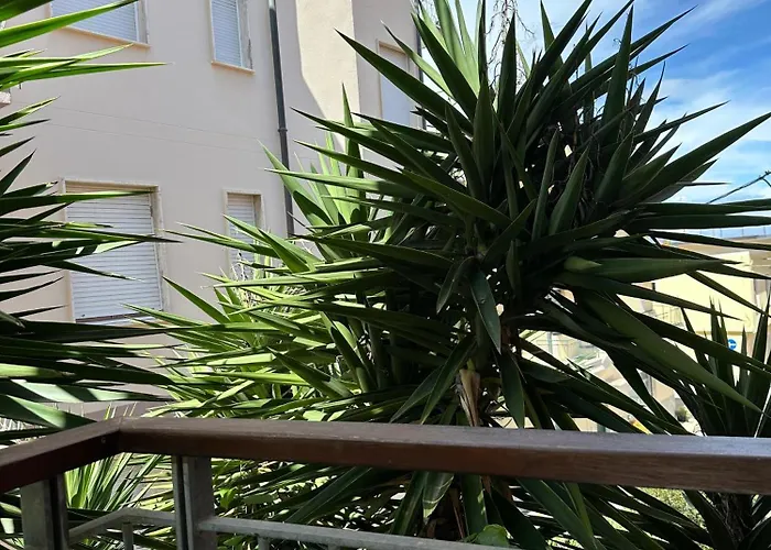 Hotel Mambo