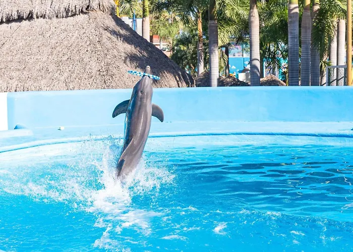 Splash Inn Nuevo Vallarta & Parque Acuatico