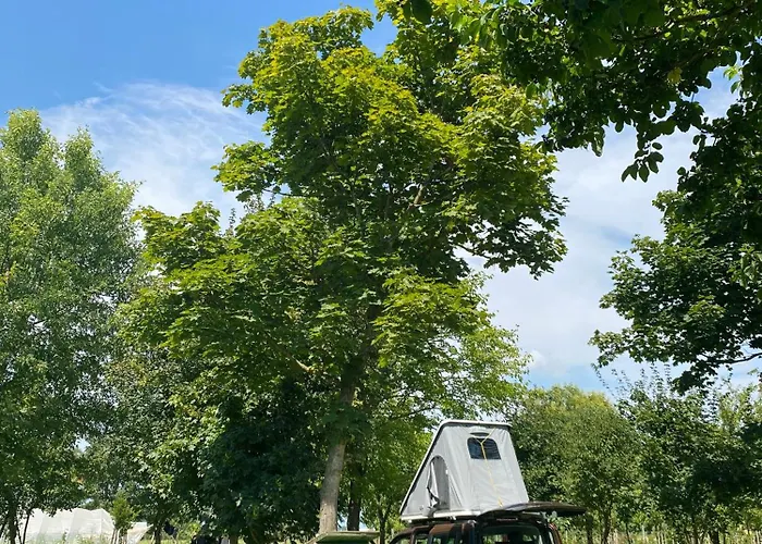Camping Biologico La Buona Terra