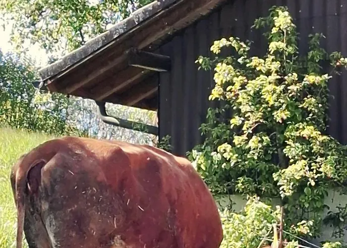 Rustic Barn Experience-Surrounded By Nature & Farm