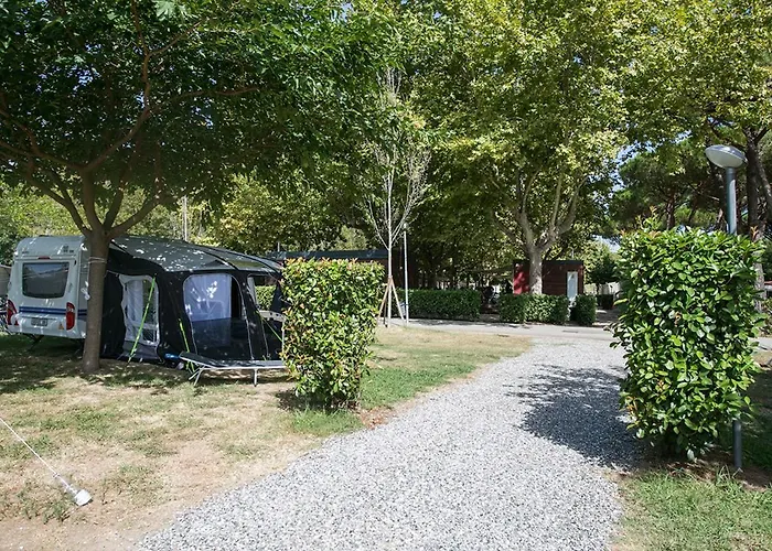 Camping River