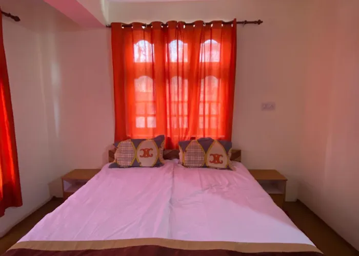 Somahouse And Cafe, Spiti