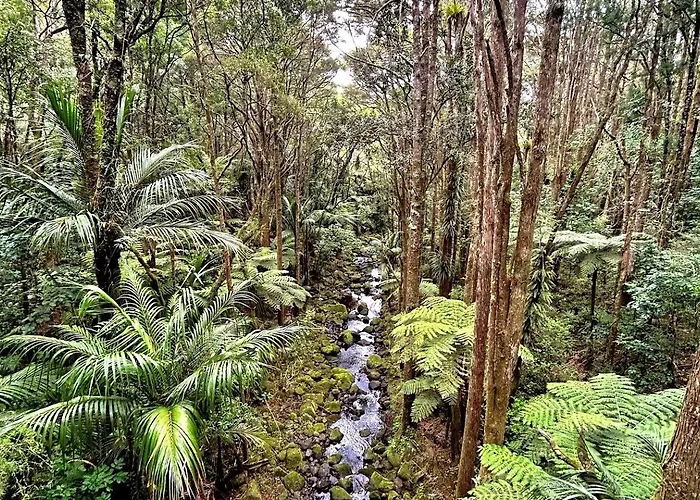 Bk'S Pohutukawa Lodge
