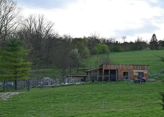 Napfeny Camping