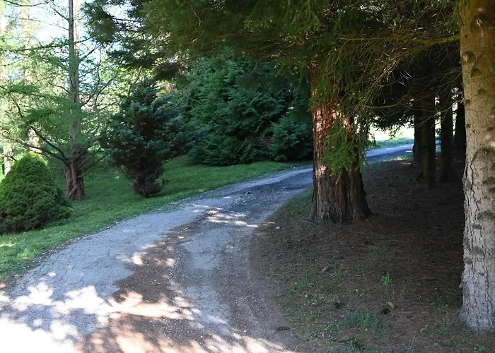 Napfeny Camping