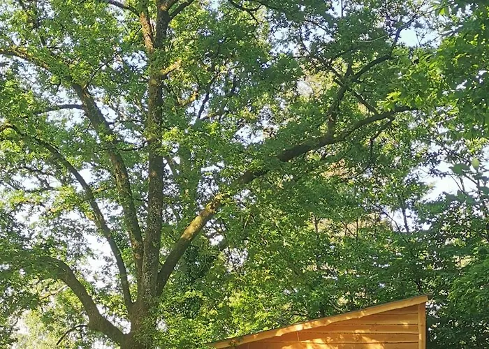 Camping De La Chagnee