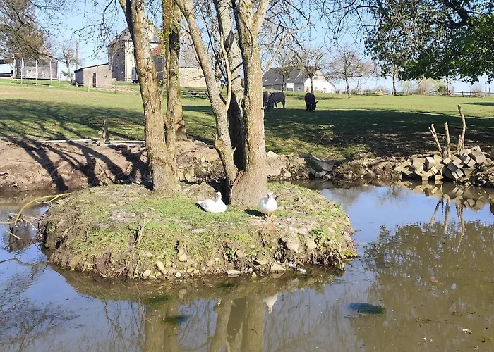 La Billardiere Camping A La Ferme