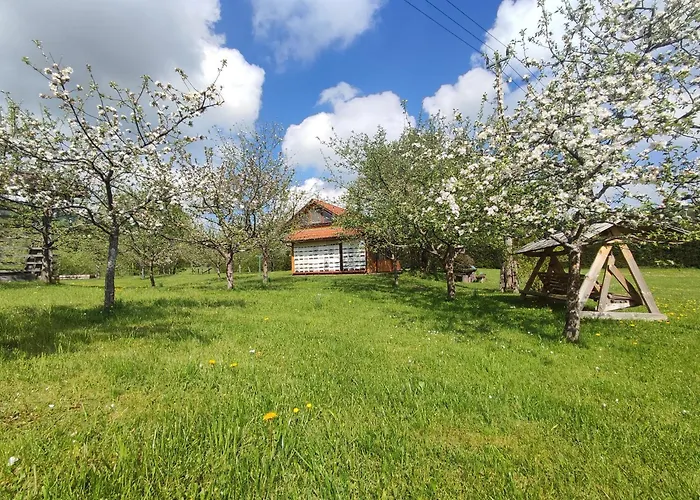 Village Vista - Mini Glamping Resort