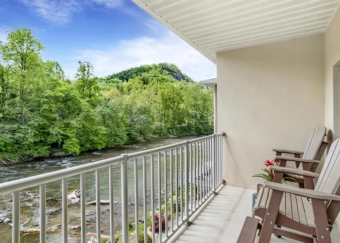 Best Western Plus River Escape Sylva / Dillsboro