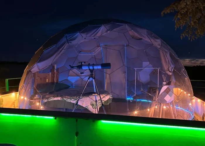Bubble World Wild Love