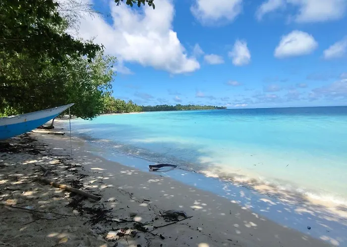 Twin Palms Villa And Homestay