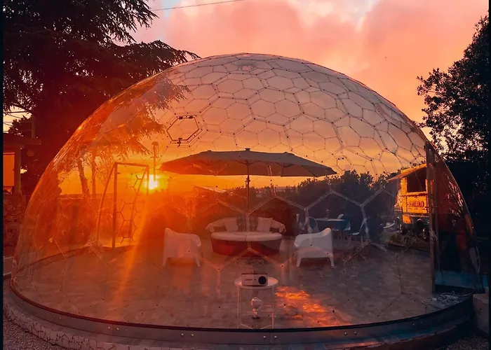 Bubble World Wild Love